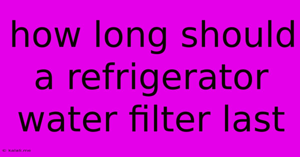 How Long Should A Refrigerator Water Filter Last