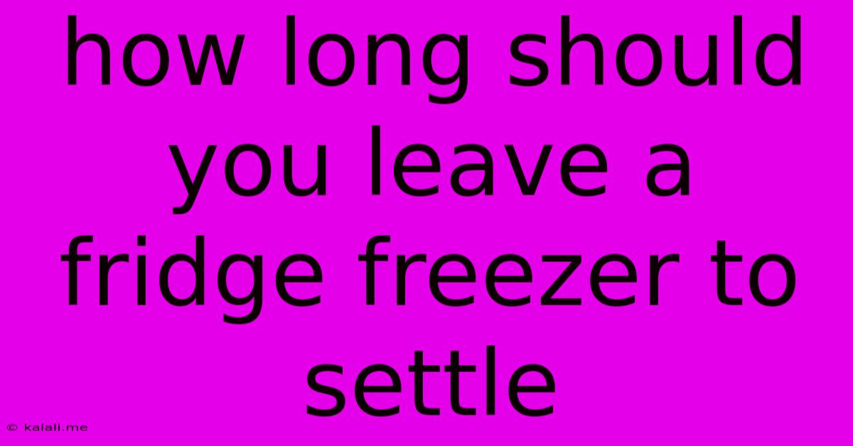 How Long Should You Leave A Fridge Freezer To Settle