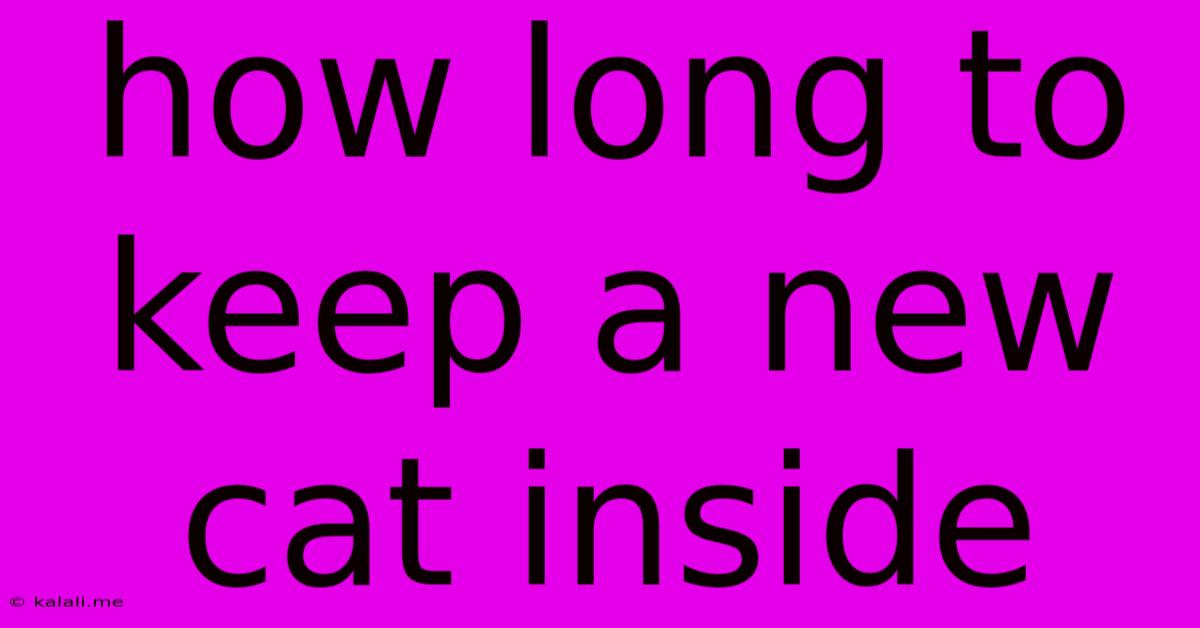 How Long To Keep A New Cat Inside