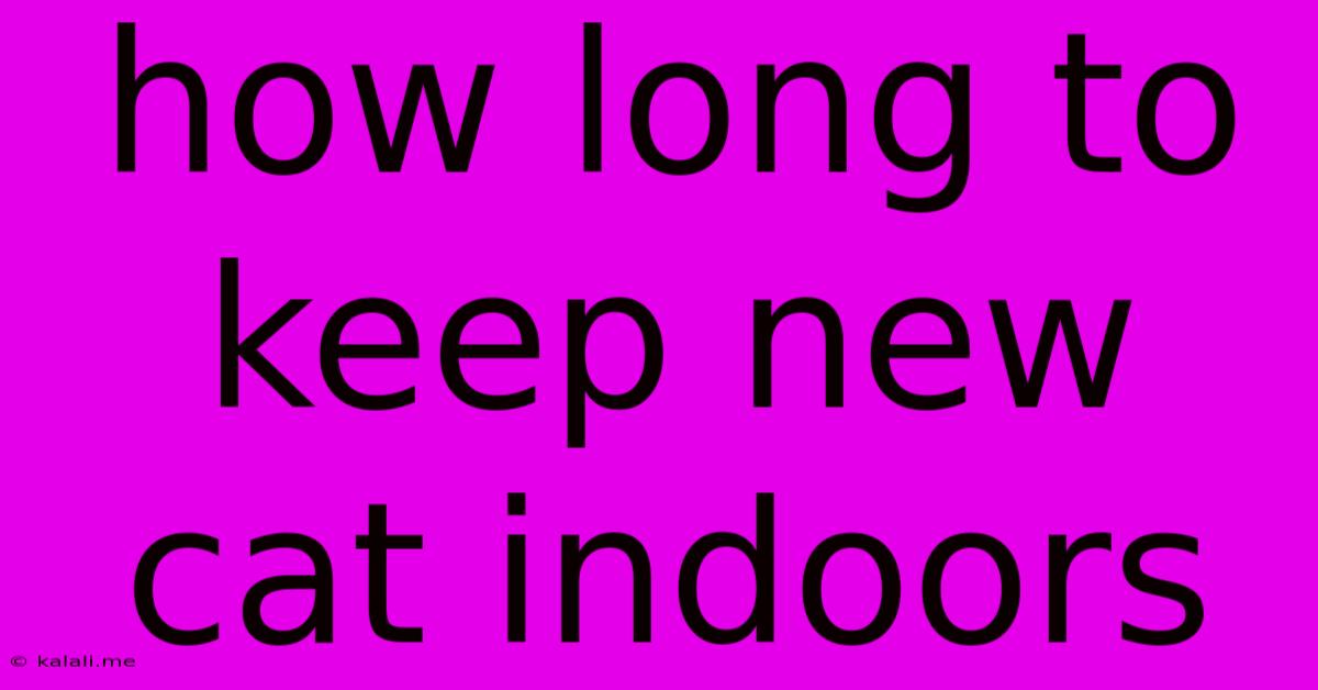 How Long To Keep New Cat Indoors