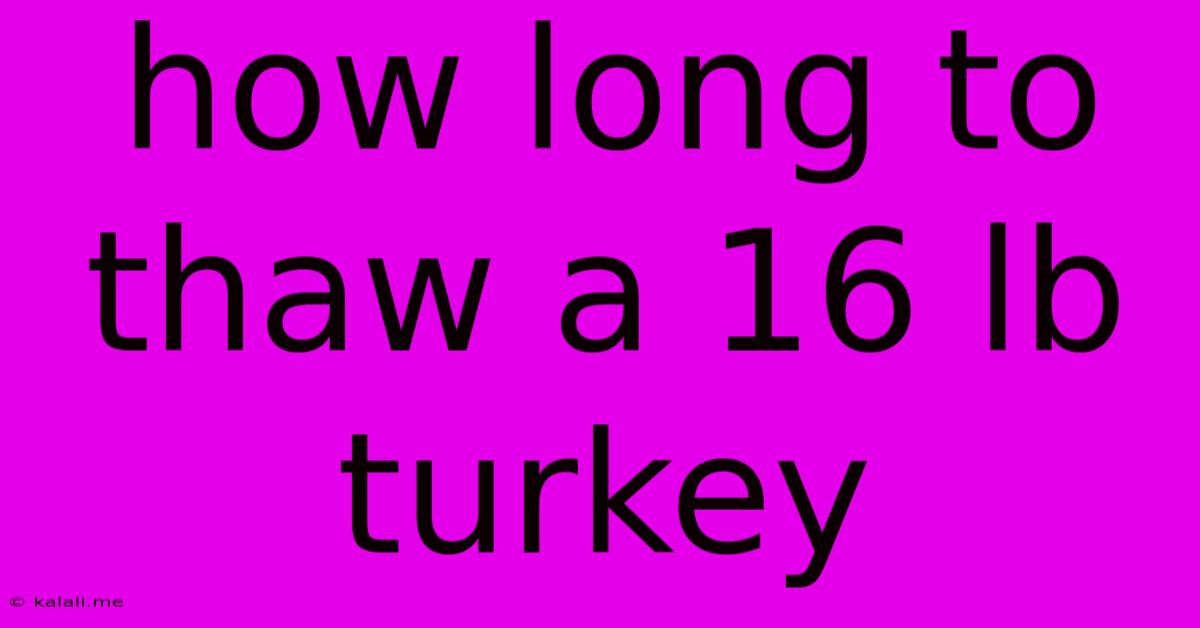 How Long To Thaw A 16 Lb Turkey
