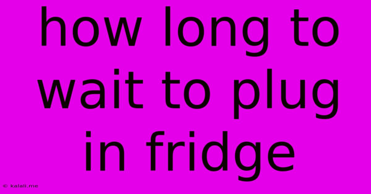 How Long To Wait To Plug In Fridge