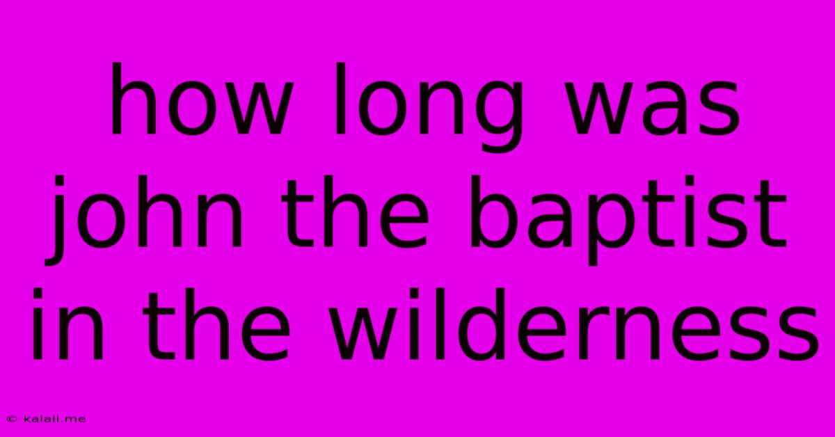 How Long Was John The Baptist In The Wilderness