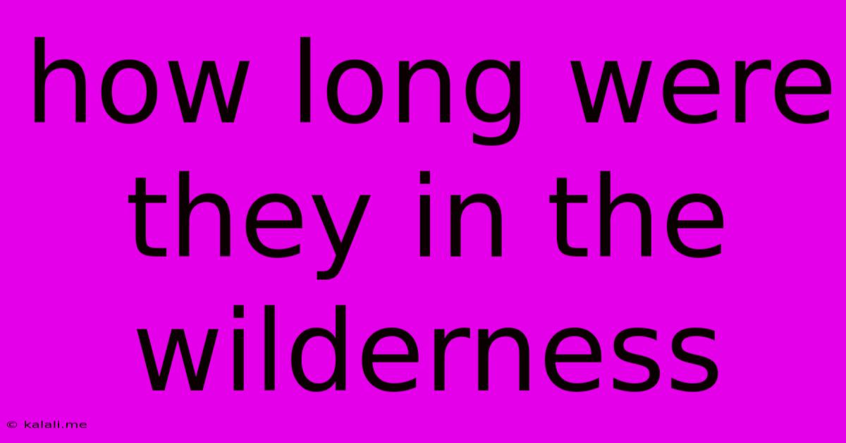 How Long Were They In The Wilderness