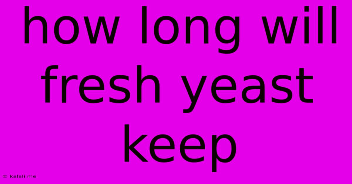 How Long Will Fresh Yeast Keep