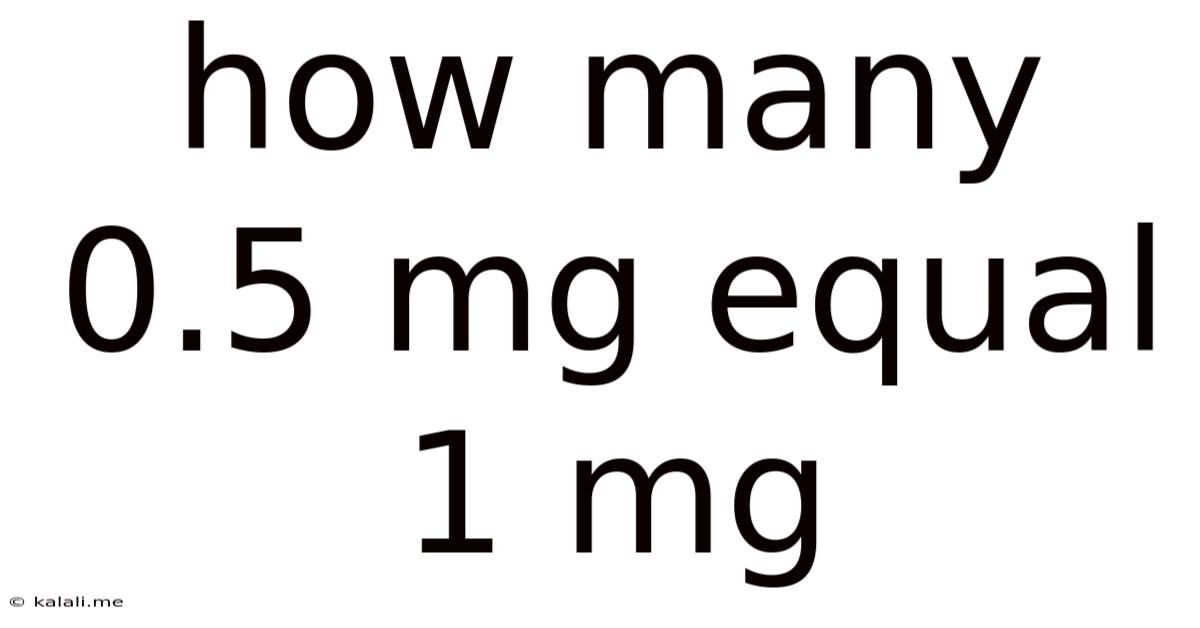 How Many 0.5 Mg Equal 1 Mg