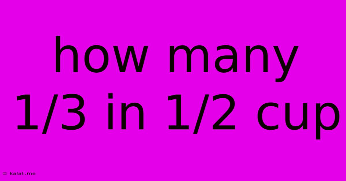 How Many 1/3 In 1/2 Cup