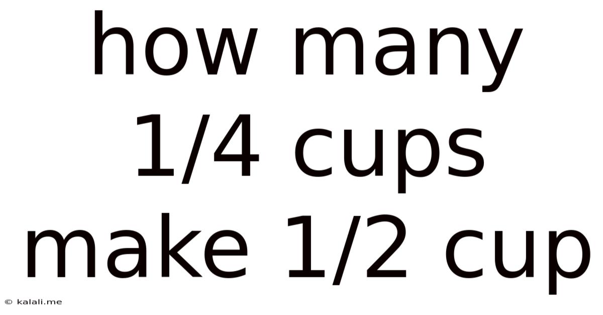 How Many 1 4 Cups Make 1 2 Cup