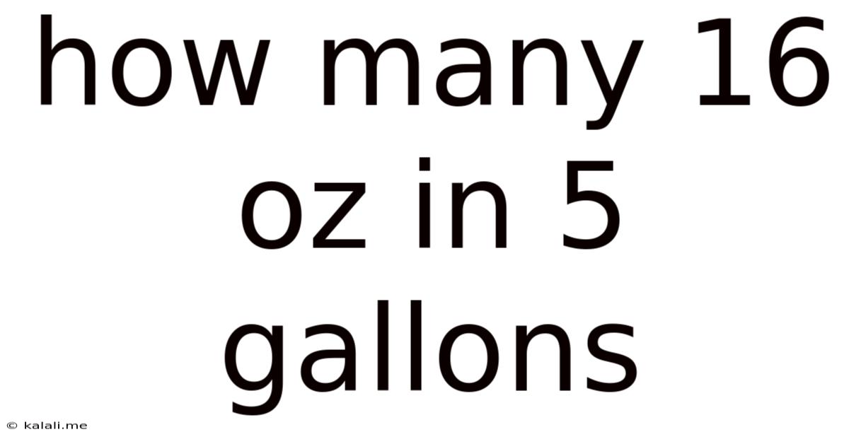 How Many 16 Oz In 5 Gallons