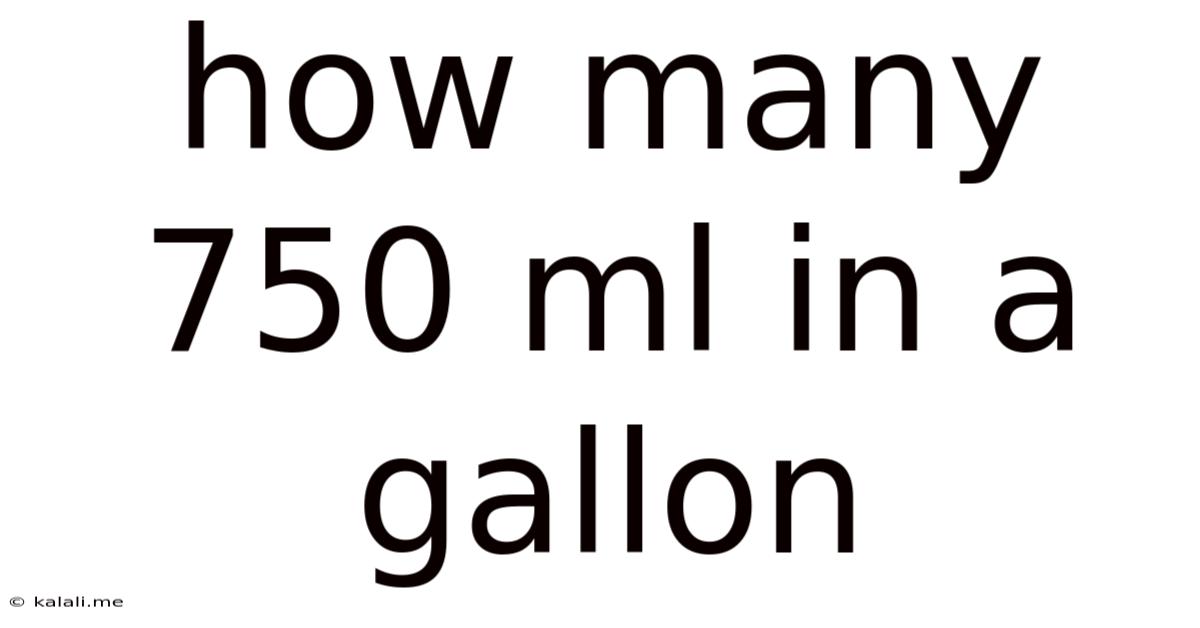 How Many 750 Ml In A Gallon