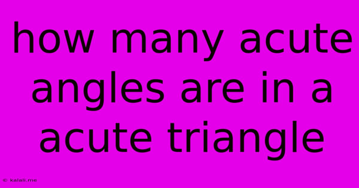 How Many Acute Angles Are In A Acute Triangle