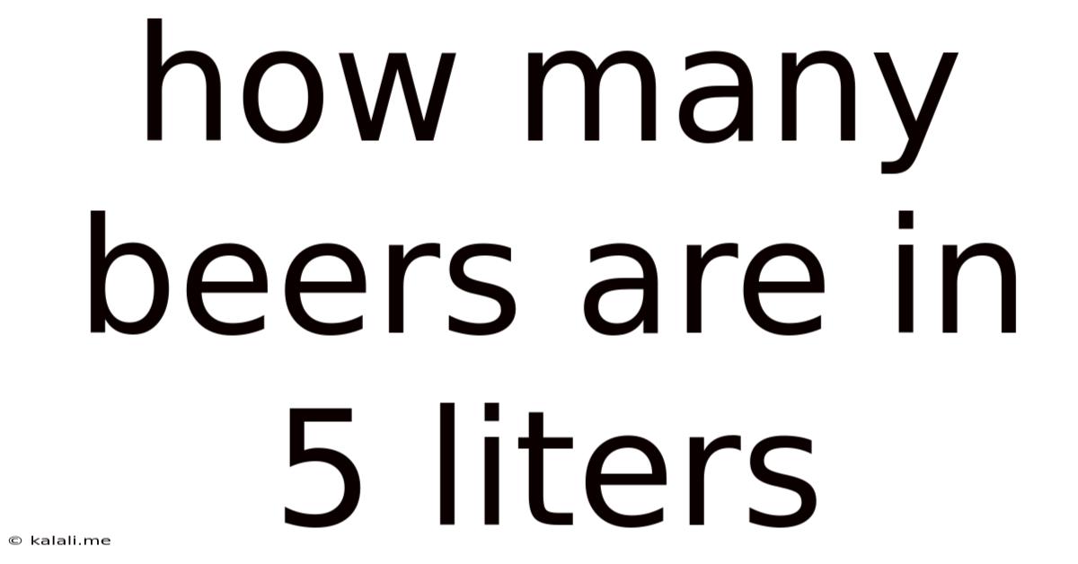 How Many Beers Are In 5 Liters