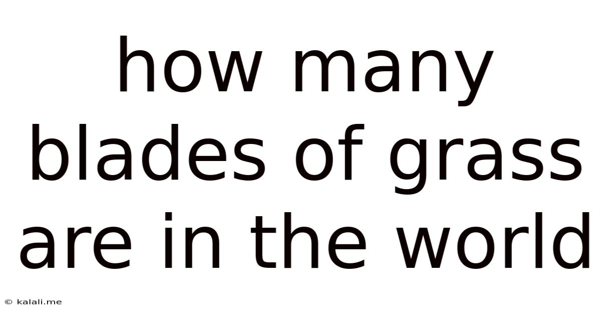 How Many Blades Of Grass Are In The World