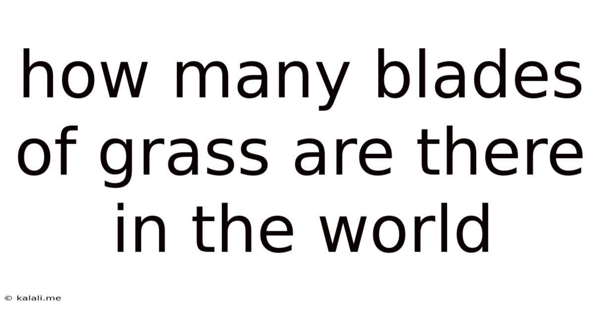 How Many Blades Of Grass Are There In The World