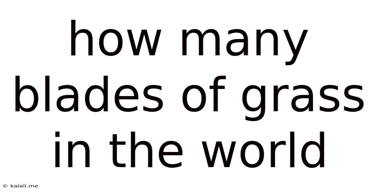 How Many Blades Of Grass In The World