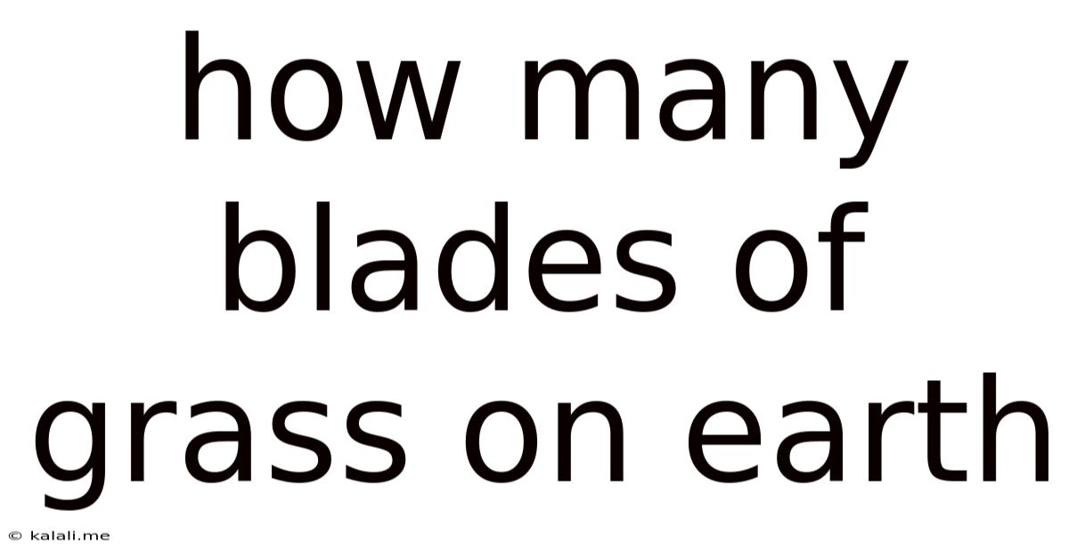 How Many Blades Of Grass On Earth