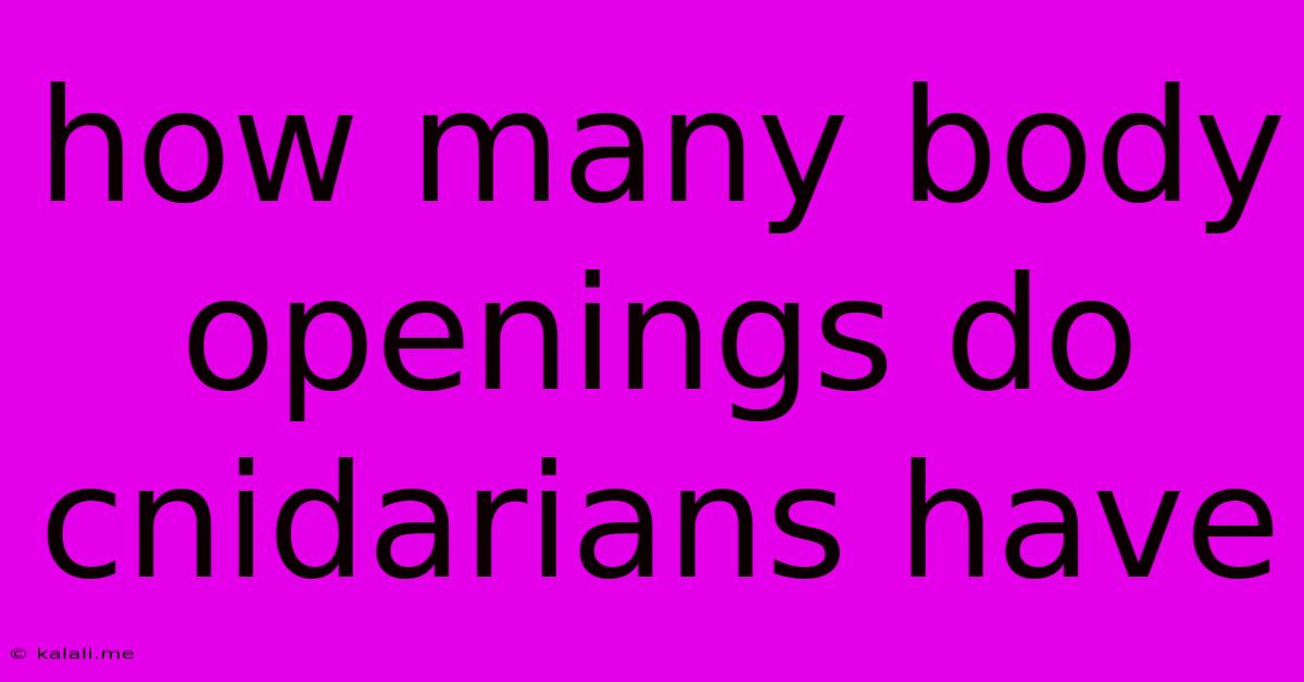 How Many Body Openings Do Cnidarians Have