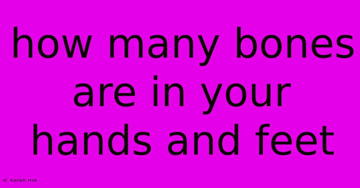 How Many Bones Are In Your Hands And Feet