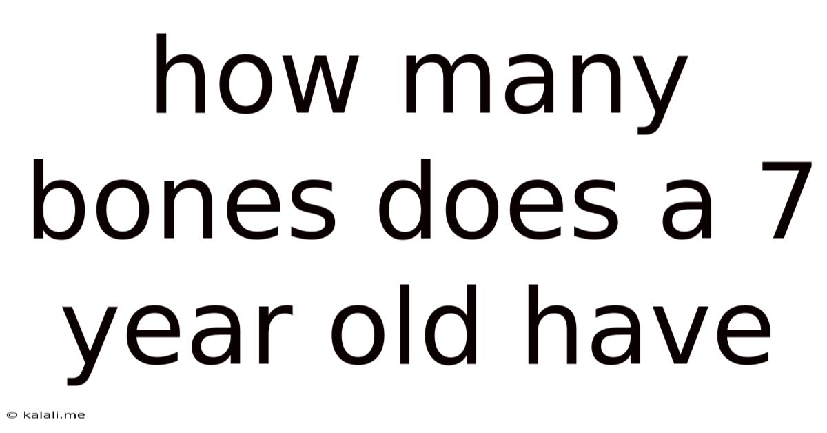 How Many Bones Does A 7 Year Old Have