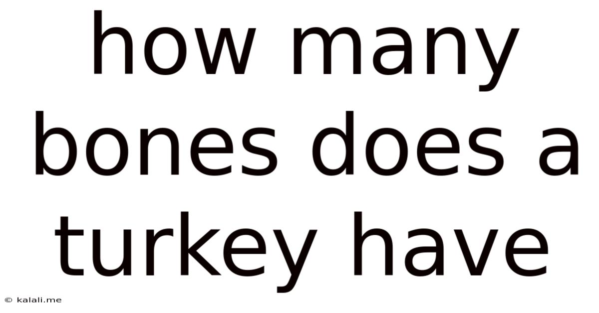 How Many Bones Does A Turkey Have