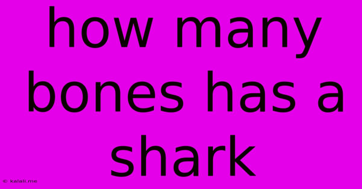 How Many Bones Has A Shark
