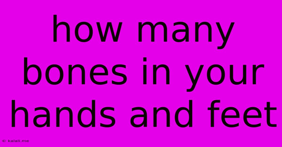 How Many Bones In Your Hands And Feet