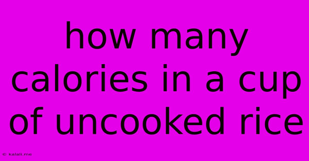 How Many Calories In A Cup Of Uncooked Rice