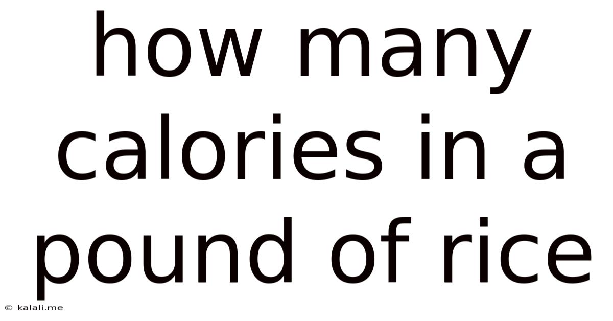 How Many Calories In A Pound Of Rice