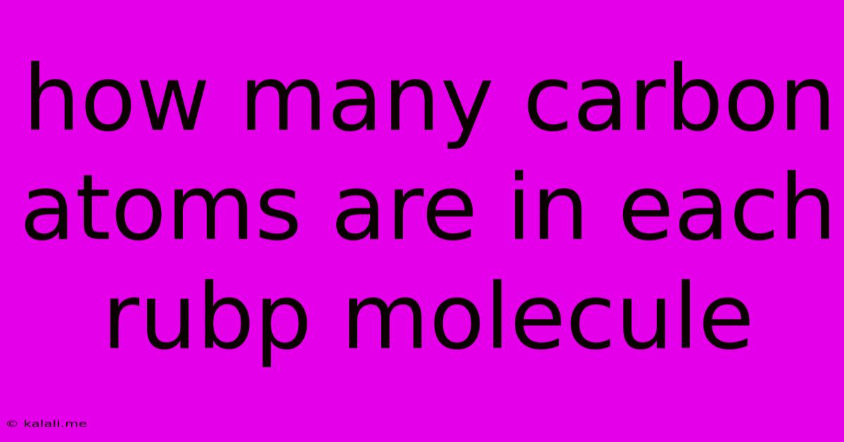How Many Carbon Atoms Are In Each Rubp Molecule