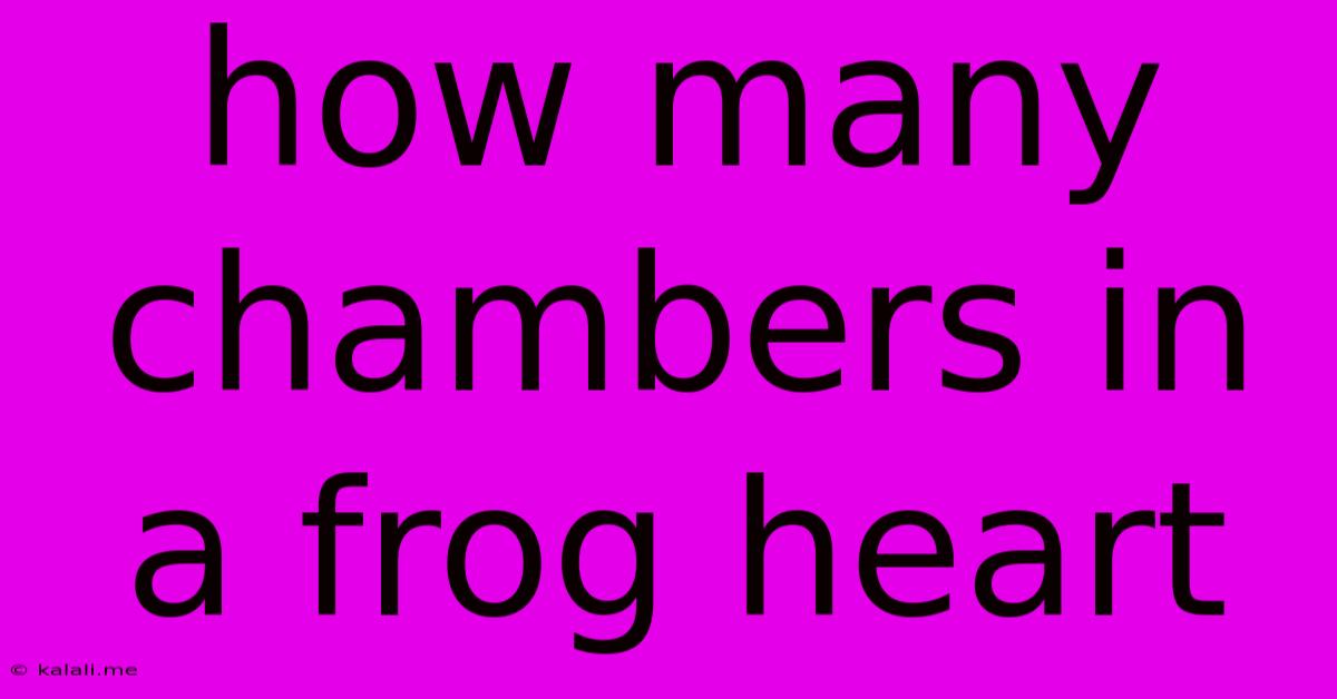 How Many Chambers In A Frog Heart