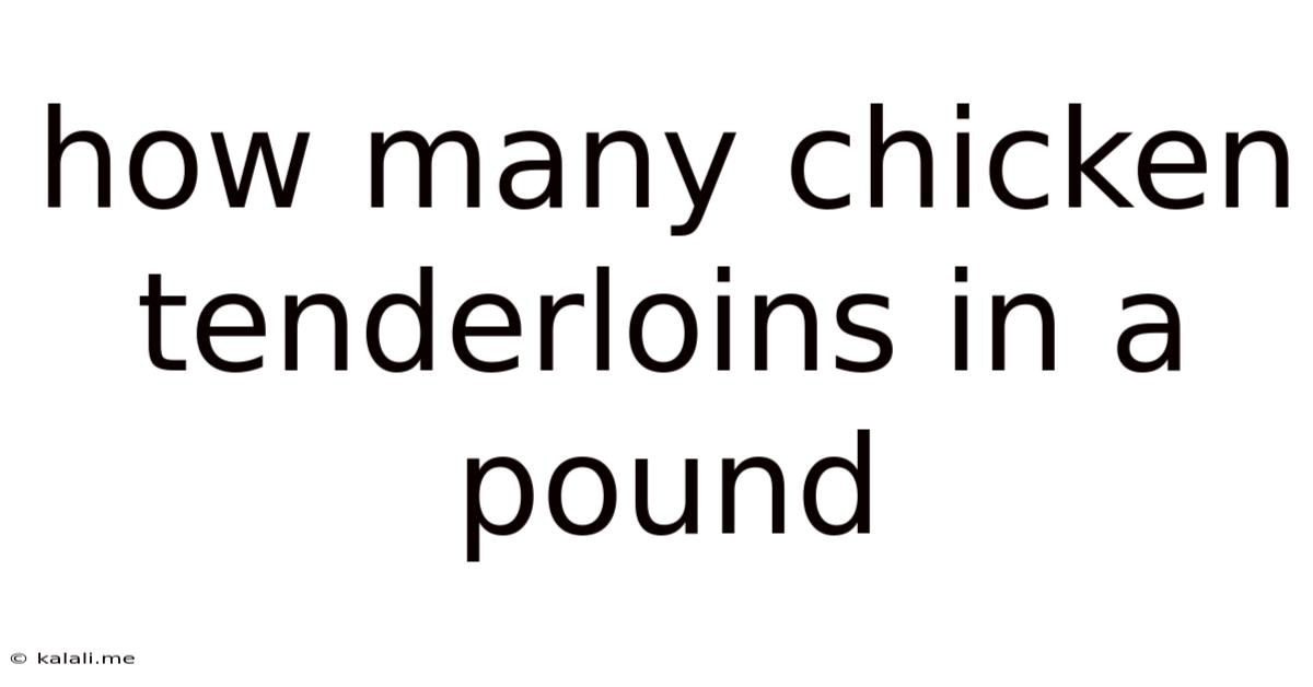 How Many Chicken Tenderloins In A Pound