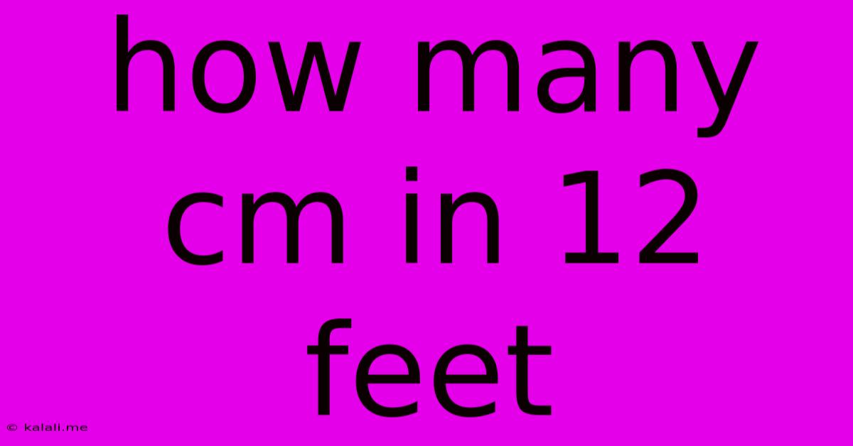 How Many Cm In 12 Feet