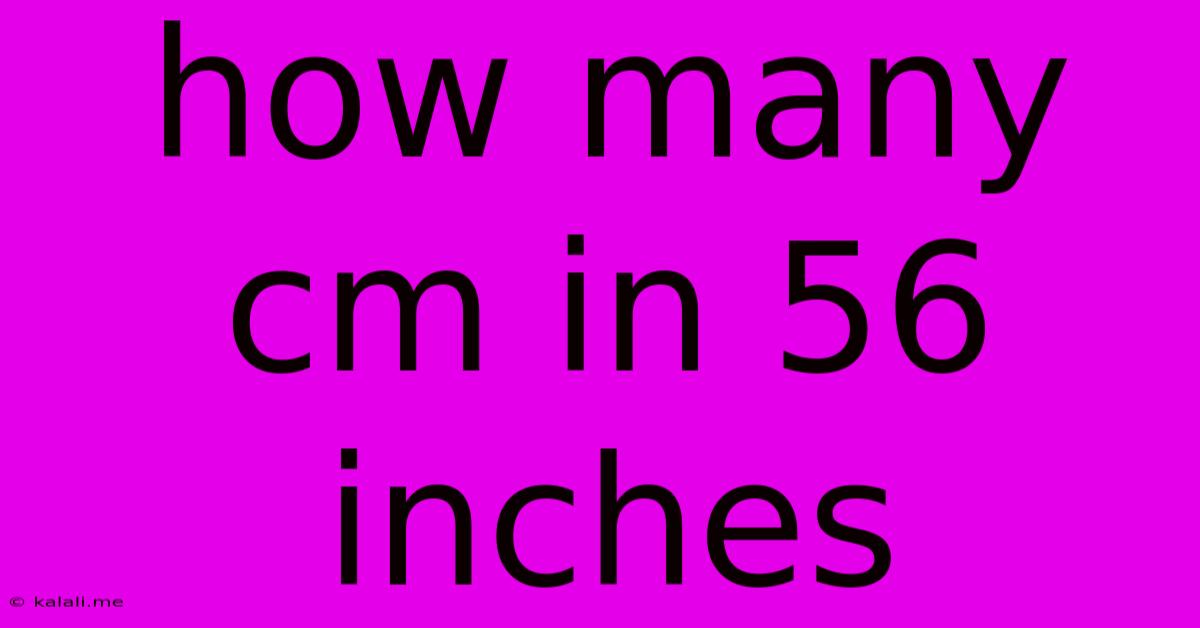 How Many Cm In 56 Inches
