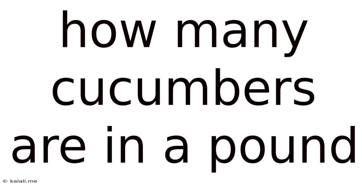 How Many Cucumbers Are In A Pound