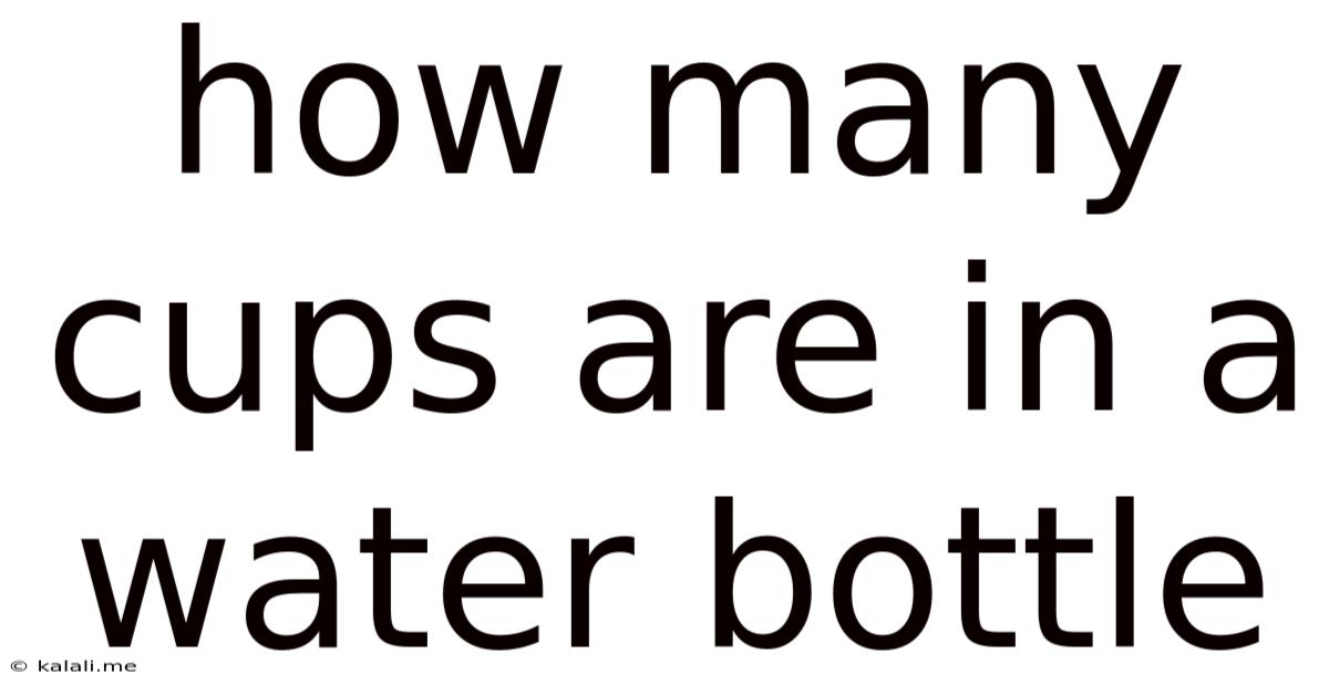 How Many Cups Are In A Water Bottle