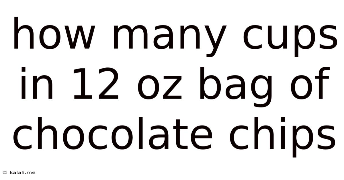 How Many Cups In 12 Oz Bag Of Chocolate Chips