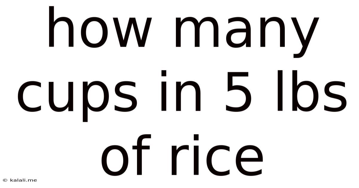 How Many Cups In 5 Lbs Of Rice