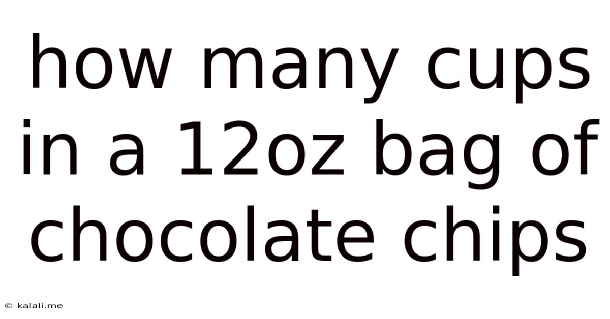 How Many Cups In A 12oz Bag Of Chocolate Chips
