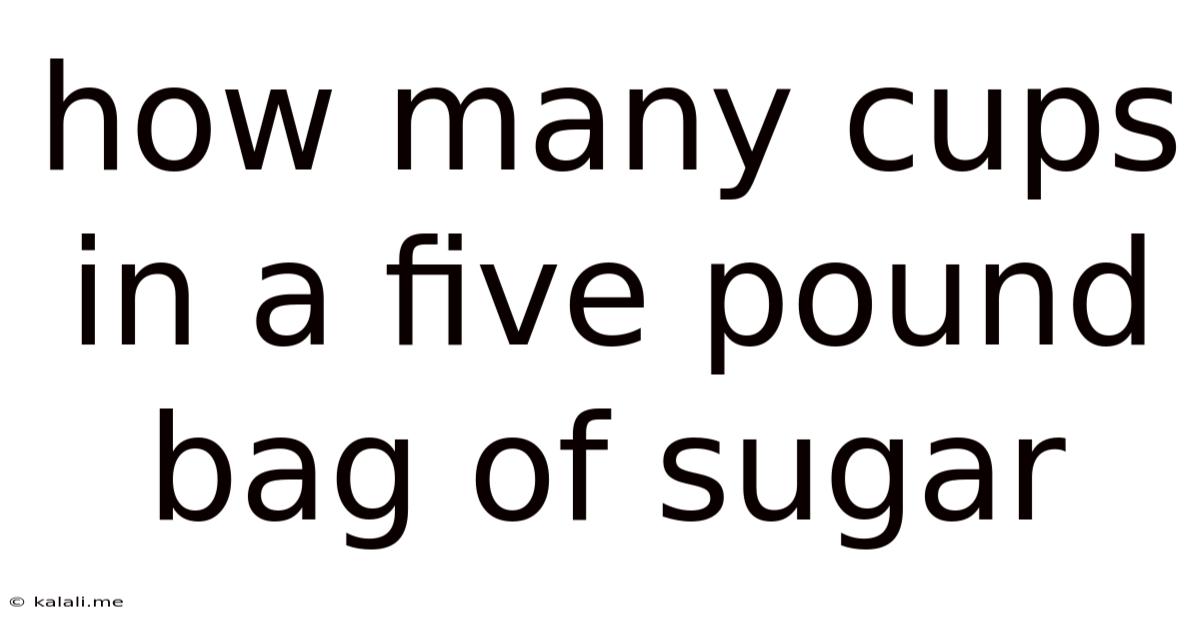 How Many Cups In A Five Pound Bag Of Sugar