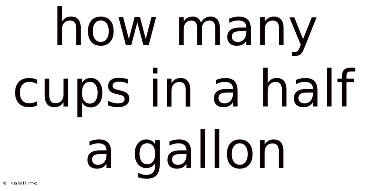 How Many Cups In A Half A Gallon