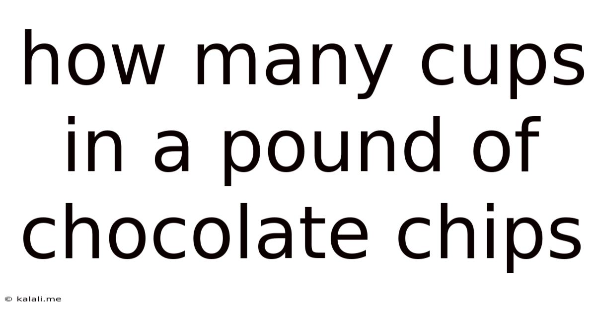 How Many Cups In A Pound Of Chocolate Chips