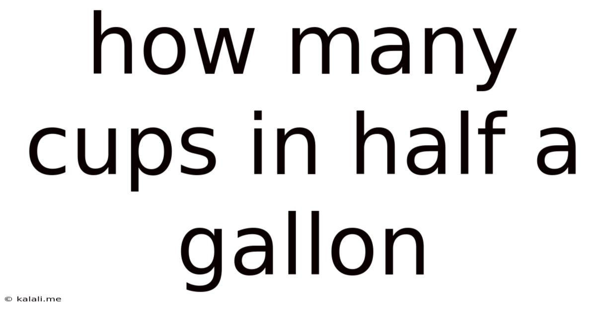 How Many Cups In Half A Gallon