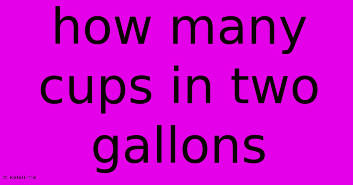 How Many Cups In Two Gallons