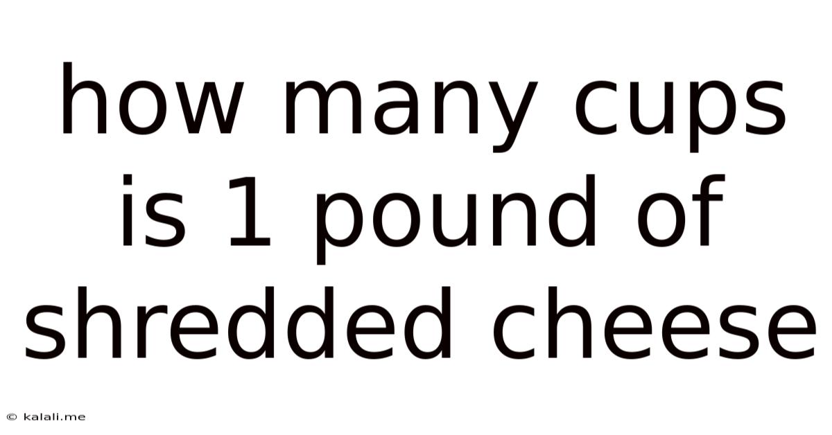 How Many Cups Is 1 Pound Of Shredded Cheese