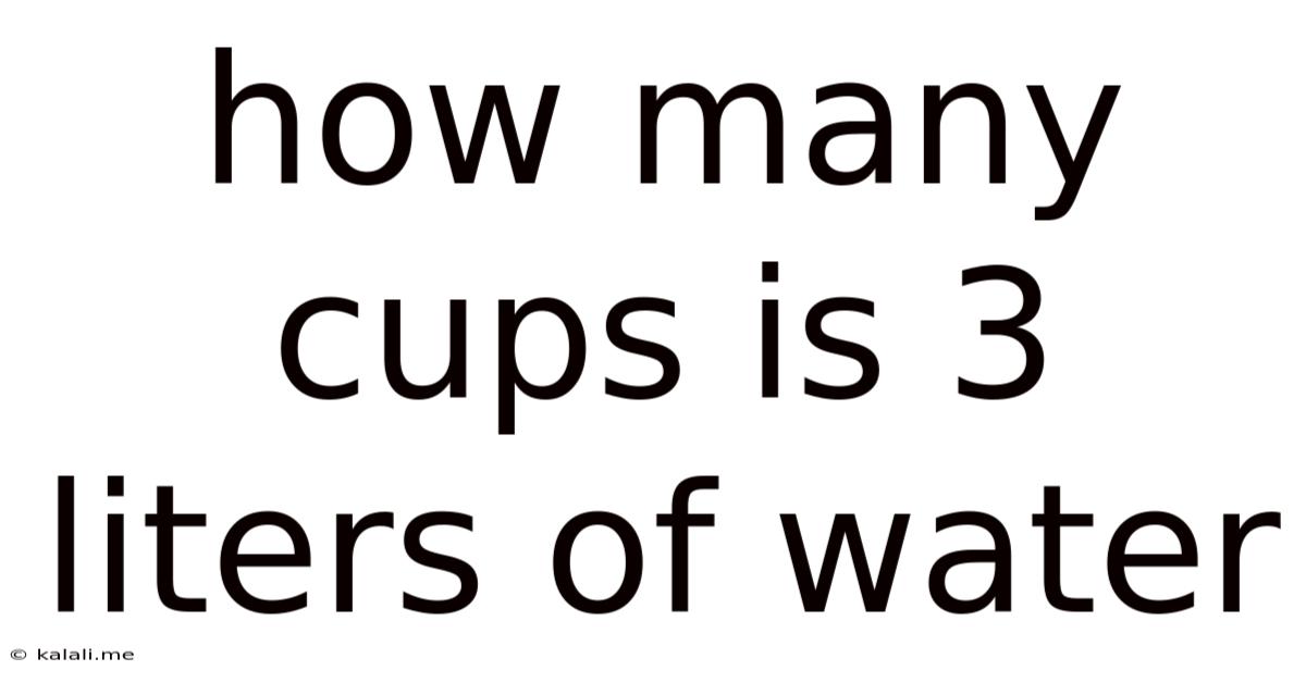 How Many Cups Is 3 Liters Of Water