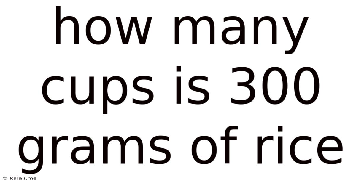 How Many Cups Is 300 Grams Of Rice