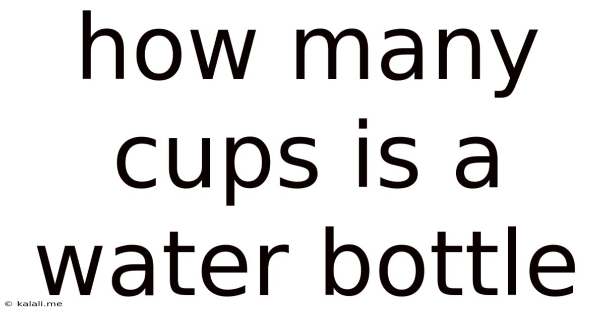 How Many Cups Is A Water Bottle