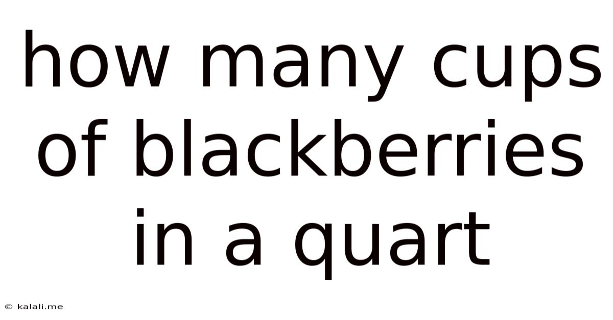 How Many Cups Of Blackberries In A Quart