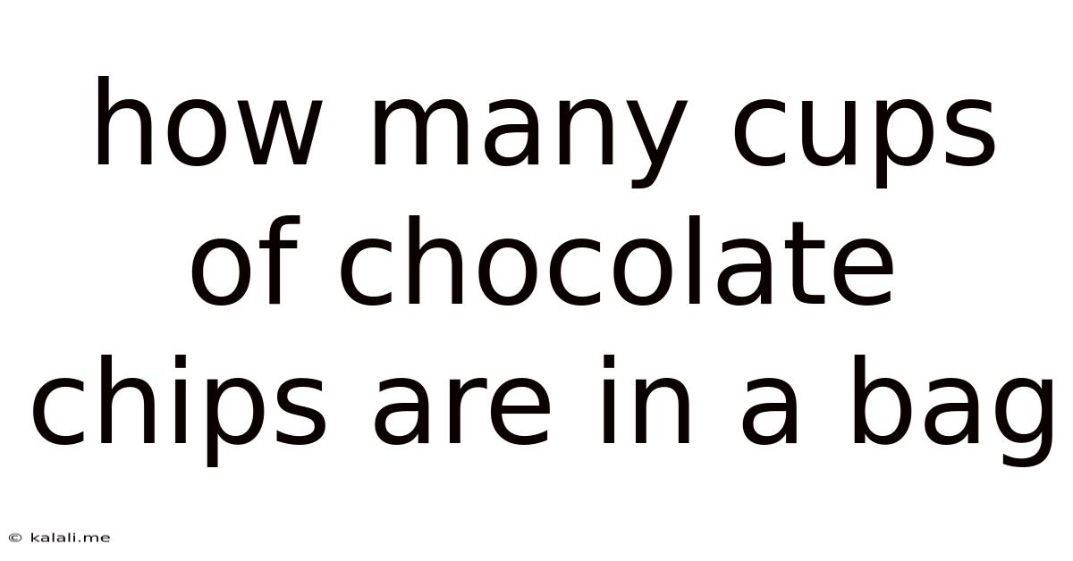 How Many Cups Of Chocolate Chips Are In A Bag