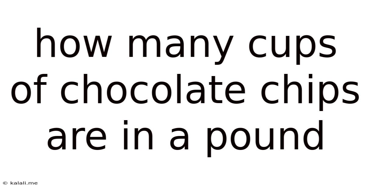 How Many Cups Of Chocolate Chips Are In A Pound